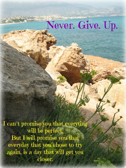 never give up